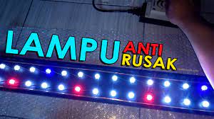 Maybe you would like to learn more about one of these? Review Lampu Led Hpl Diy Aquascape Di Aquarium Ikan Mas Koki Terasa Overkill