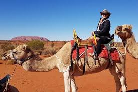 Browse our uluru tours/ayers rock tours and explore the beautiful australian outback with peterpans today. Uluru Small Group Tour By Camel At Sunrise Or Sunset 2021 Ayers Rock