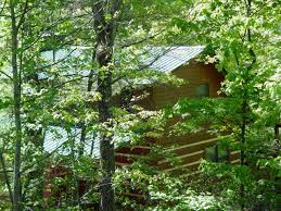 We did not find results for: Mountain Laurel Vacation Rental Cabin At Fall Creek Cabins Near Boone Blowing Rock North Carolina