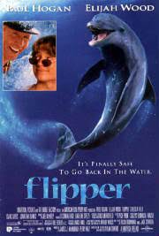 Kuminga is viewed by most draft analysts as one of the players with the highest ceilings in. Dolphin Vore