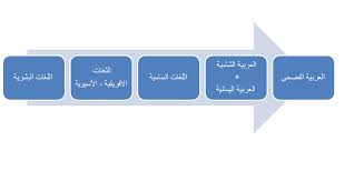 العلاقة بين اللغة العربية والصومالية Somali Future