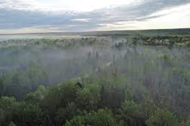 On tuesday, burned approximately 378 acres of both private and state forest land. Northern Michigan Wildfire Continues To Burn On Third Day Now 78 Contained Mlive Com