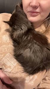 I still need to slim him down a little. Cocky is coming 💪😎🤘