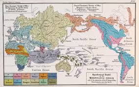 Connecting And Conserving Iv Worlds Of Natural History