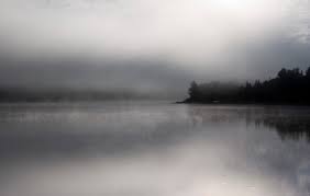 Photography of black foggy island, dead river HD wallpaper | Wallpaper Flare
