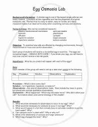 Osmosis Jones Movie Worksheet Inspirational Osmosis Jones Worksheet In 2020 Osmosis Biology Experiments Biology Lessons
