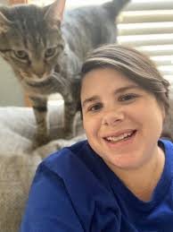 Lost orange collared cat in Belton near Main St