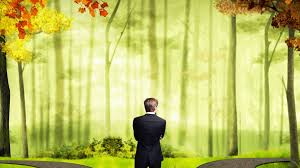 Romsilva Will Plant About 20 Million Forest Seedlings In The Spring Afforestation Campaign Doingbusiness Ro