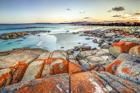 () for those who haven't visited australia's smallest state, tasmania or tassie, seems shrouded in maybe it's the vast expanses of windswept wilderness — almost half of tasmania's land mass lies in. 7 Days In Tasmania The Perfect Tasmania Itinerary Road Affair