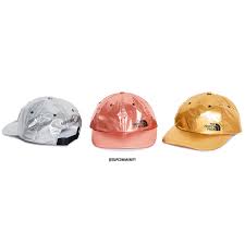 Supreme has collaborated with the north face® on a collection for spring 2021. Supreme The North Face Metallic 6 Panel
