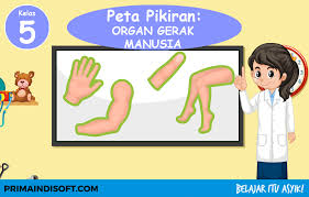 Materi Pelajaran Sd Kelas 5 Primaindisoft