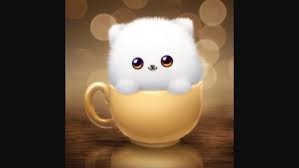 Creteil soleil on vain yksi upeista nähtävyyksistä kaupungissa créteil. Primark Creteil Magasins De Vetement Adresse Avis