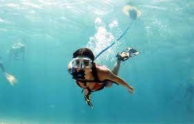 Blu3 Nemo Hookah Diving Brownie S Southport Divers