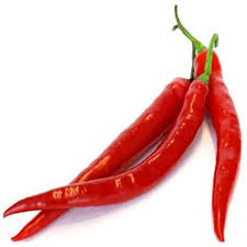 Are free from any colors and are efficient in boosting your immune system. Fresh Cayenne Pepper Buy Fresh Cayenne Pepper In Chempet South Africa From Atlas Trading Company Pty Ltd