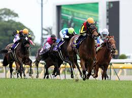 Maybe you would like to learn more about one of these? ã‚¸ã‚§ãƒ³ãƒ†ã‚£ãƒ«ãƒ‰ãƒ³ãƒŠ5æž 9ç•ª ã‚¨ã‚¤ã‚·ãƒ³ãƒ•ãƒ©ãƒƒã‚·ãƒ¥3æž 6ç•ª å¤©çš‡è³ž ç§‹æž é † ç«¶é¦¬ãƒ‹ãƒ¥ãƒ¼ã‚¹ Netkeiba Com