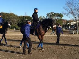 ギャンブル / くらし・生活 / 心理的. ã‚¸ãƒ£ãƒ'ãƒ³c ã‚«ãƒ¬ãƒ³ãƒ–ãƒ¼ã‚±ãƒ‰ãƒ¼ãƒ« å›½æžå¸« æ–¤é‡ã¯æµã¾ã‚Œã¦ã‚‹ ç«¶é¦¬ãƒ‹ãƒ¥ãƒ¼ã‚¹ãªã‚‰ ç«¶é¦¬ã®ãŠã¯ãªã—