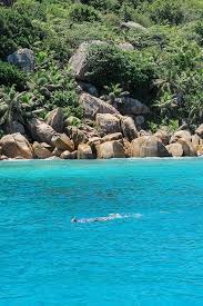 Unverzichtbar im urlaub auf den seychellen sind bootstouren zu anderen inseln. Seychellen Urlaub 7 Traumhafte Tipps Fur Das Inselparadies Seychellen Urlaub Seychellen Urlaub