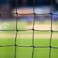 Brighton & Hove Albion event image