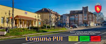 We did not find results for: PrimÄria Comunei Pui JudeÈul Hunedoara Oricand La Dispozitia CetÄÈenilor