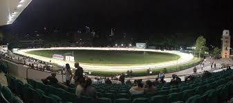 Assad and his mother were separated during the sinking and charles carried the baby to lifeboat #16. Punting Star Greyhounds Punter Ricky Leonard Punting Stars