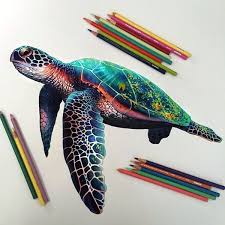 40 Color Pencil Drawings To Having You Cooing With Joy Bored Art Turtle Art Color Pencil Art Turtle Drawing