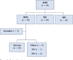 Image result for Moderate Flow Oxygen