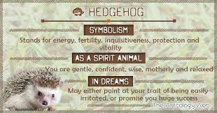 Hedgehog Meaning And Symbolism The Astrology Web In 2020 Spirit Animal Spirit Animal Totem Animal Symbolism