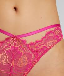 Braguita brasileña Abby