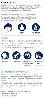 Symptoms of listeriosis are variable; What You Need To Know About Listeriosis And Its Treatment Health News Top Stories The Straits Times