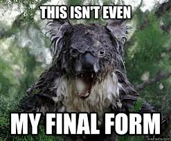 Http I Lvme Me It3l3hd Jpg Australia Funny Koala Meme Aussie Memes