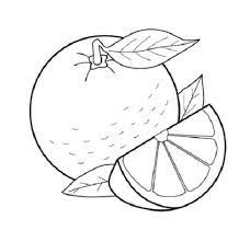 Check spelling or type a new query. 11 Sketsa Buah Buahan Yang Simple Dan Mudah Broonet