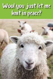 The Top 127 Knitting Puns Yarn Memes Jokes Knitting Memes Funny Quotes Knitting Puns Knitting Quotes Funny Knitting Humor