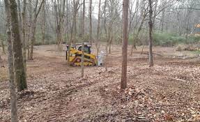 We want all of our customers to experience an impressive level of professionalism when working with east tn land clearing & forestry mulching. Foltz Land Management Forestry Mulching Land Clearing Brush Clearing Right Of Way Services