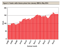 Figure Your Best Strategy For Marketing 2013 Calves Beef