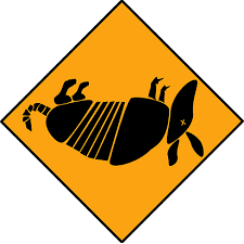 Amber Ale from Dead Armadillo Craft Brewing - Available near you - TapHunter