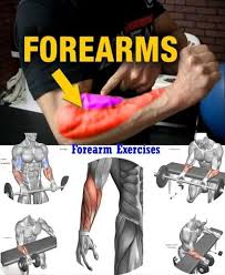 6 Of The Best Forearm Exercises For Muscle Growth And Strength For Proportional Arms Gymguider Com Forearm Workout Shoulder Workout Best Forearm Exercises