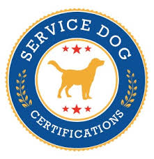 Puppies and dogs in pennsylvania. Service Dog Certification Empowering You And Your Service Animal