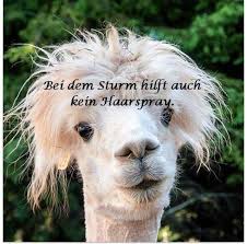 Bei Dem Sturm Hilft Auch Kein Haarspray Haarspray Montagsbilder Lustig Sturm