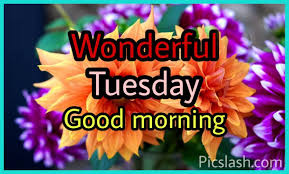 Beautiful Good Morning Tuesday Images Wishes Photos Picslash You feel fresh and free and ready for a new day and a new hope.