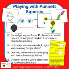 A cross concerned with only one trait. Punnett Square Monohybrid Cross Worksheets Teaching Resources Tpt