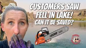 Are These Grey Echo Chainsaws Any Good #shorts