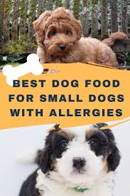 But did you know their nutritional needs aren't the same as their larger canine cousins? Best Dog Food For Small Dogs With Allergies Updated 2020