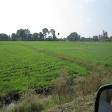 Agricultural Land For Sale