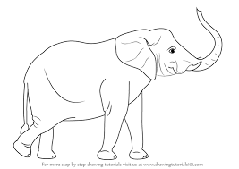 We did not find results for: Elephant Drawing Elephant Sketch Elephant Images
