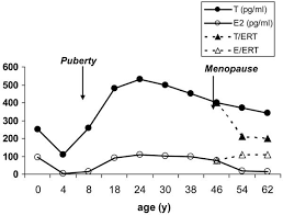 As a society, its important that we work to reduce the number of xenoestrogens in our water and food supply. Average Estradiol E2 And Testosterone T Levels Across The Female Download Scientific Diagram