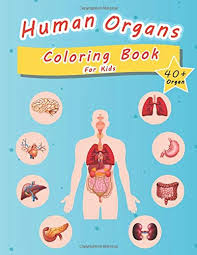 The brain is the most important organ in the human body. Human Organs Coloring Book For Kids More Than 40 Fun Human Body Anatomy Coloring For Kids Ages 4 10 104 Pages Great Gift For Your Kids Anatomy Human 9798638139735 Amazon Com Books