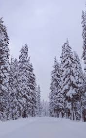 Winter Snow Road And Trees 4k Ultra Hd Mobile Wallpaper 1 photo · créé par jennifer hentschel. winter snow road and trees 4k ultra hd