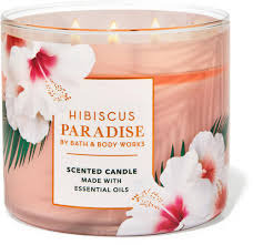 Bath fizzies & bubble bath. 3 Wick Scented Candles Bath Body Works