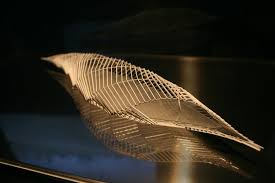 Conceptual Model 20061206 0046 Concept Architecture Pavilion Design Architecture Model