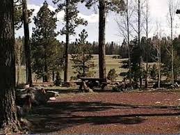 There are 11 developed campgrounds, 10 of which meet the selection criteria. Campground Directory And National Forest Campgrounds